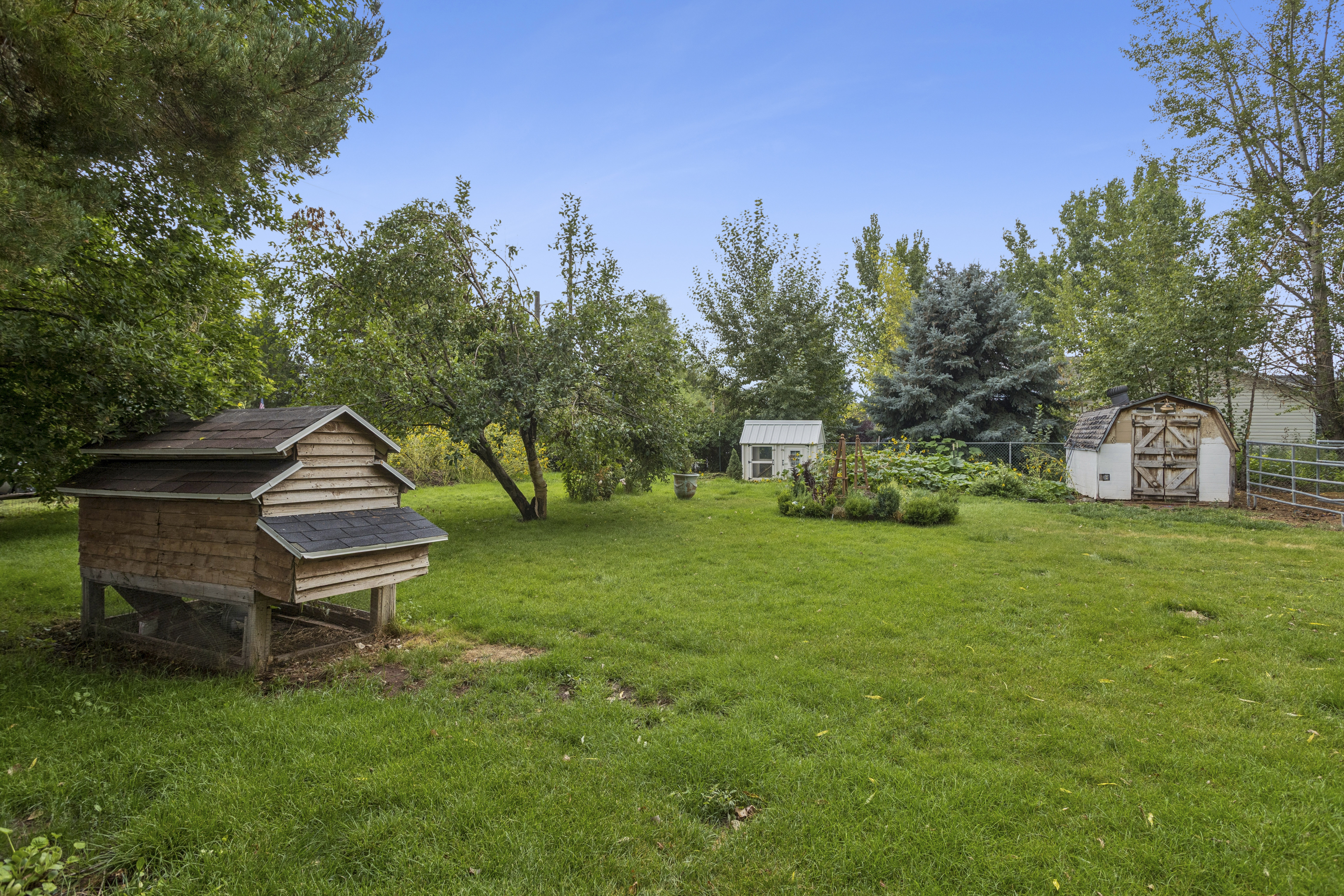 The backyard at 880 Stringtown — mature apple trees, outbuildings, and open grounds